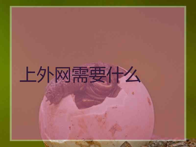 上外网需要什么