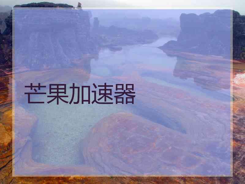 芒果加速器