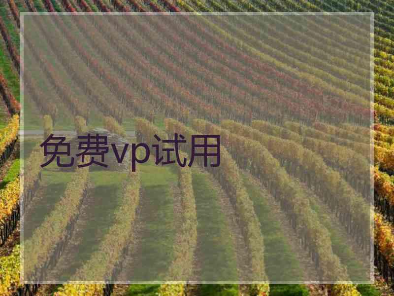 免费vp试用