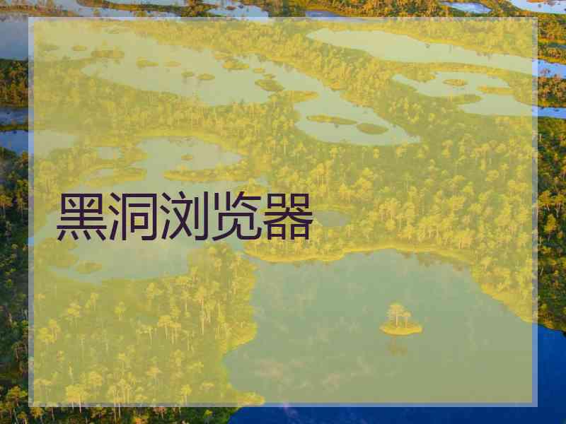 黑洞浏览器
