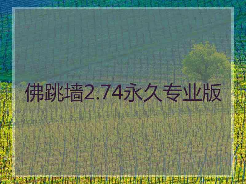 佛跳墙2.74永久专业版