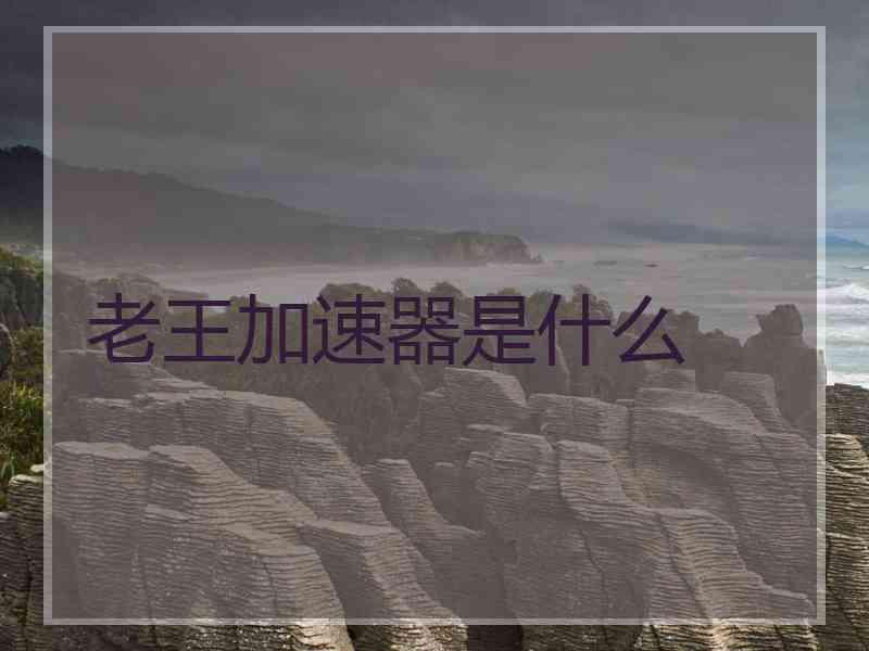 老王加速器是什么