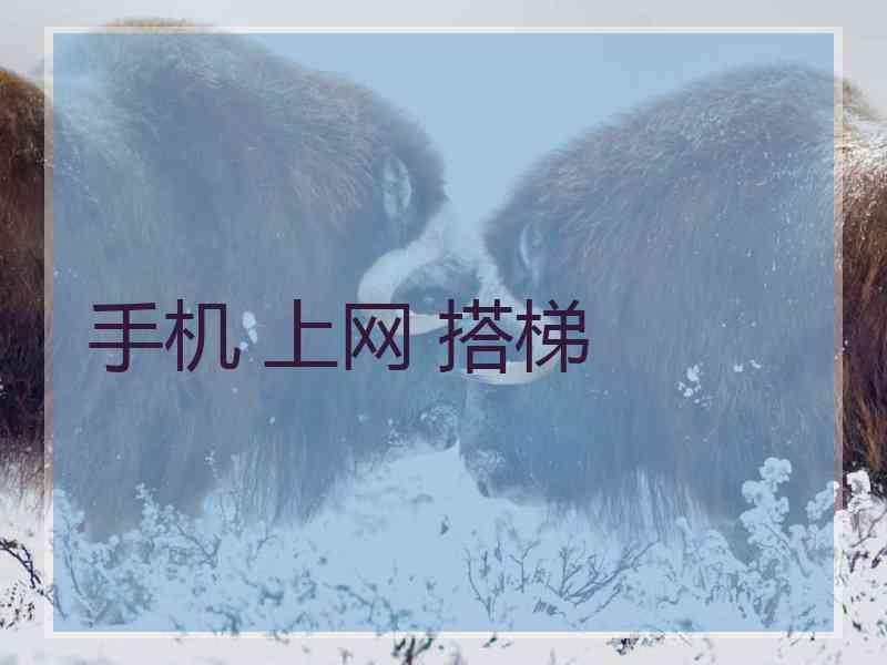 手机 上网 搭梯