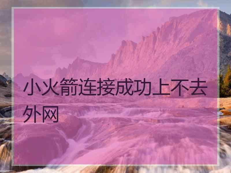 小火箭连接成功上不去外网