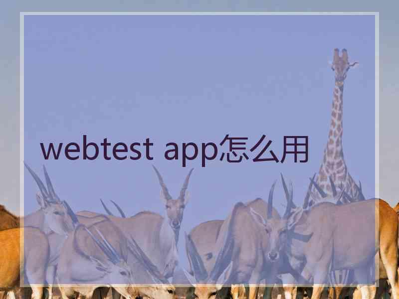 webtest app怎么用