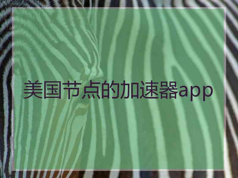 美国节点的加速器app