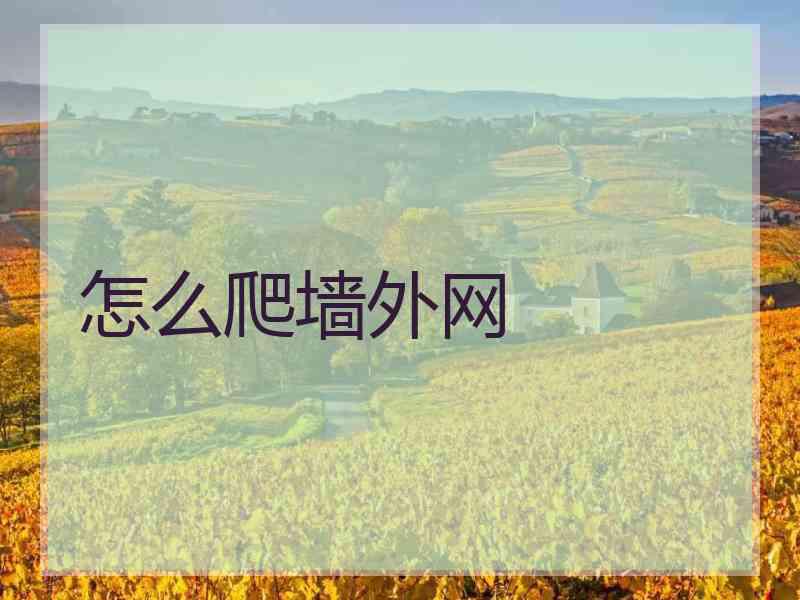 怎么爬墙外网
