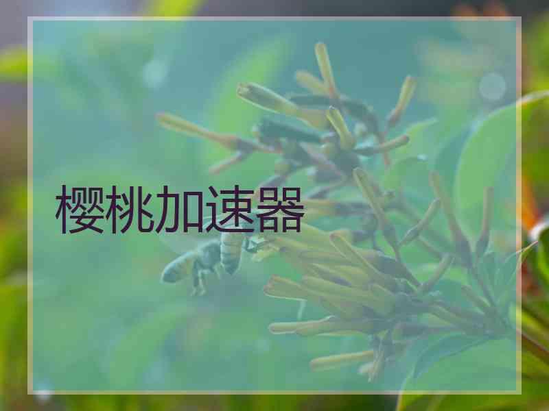樱桃加速器