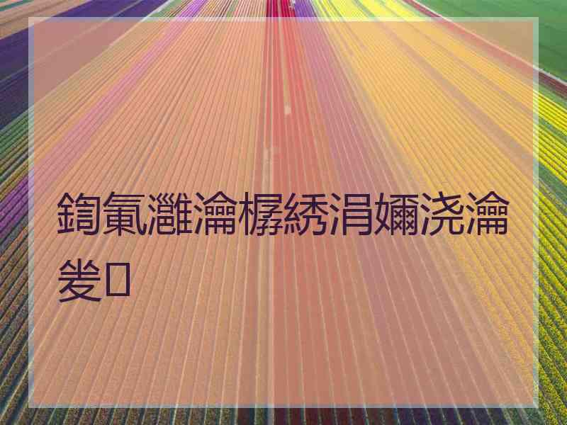 鍧氭灉瀹樼綉涓嬭浇瀹夎