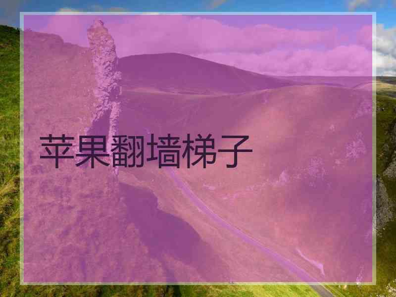苹果翻墙梯子