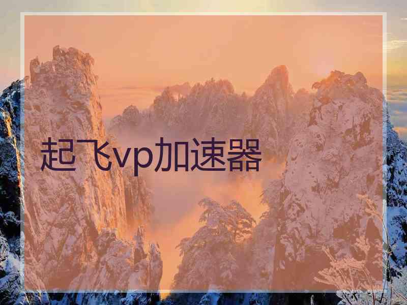 起飞vp加速器