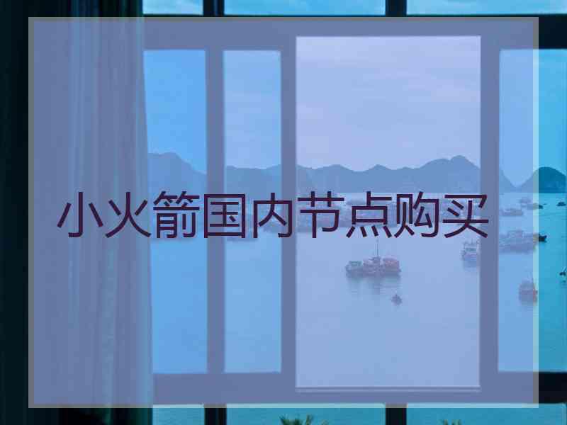 小火箭国内节点购买