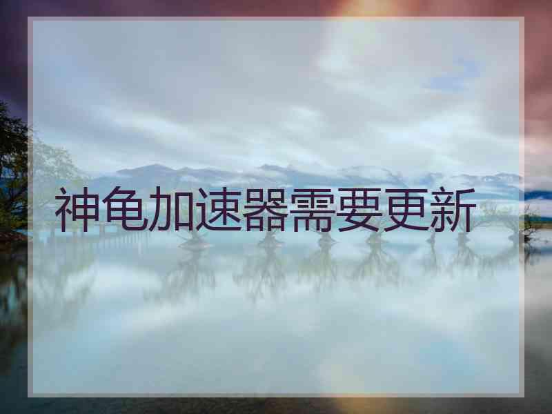 神龟加速器需要更新