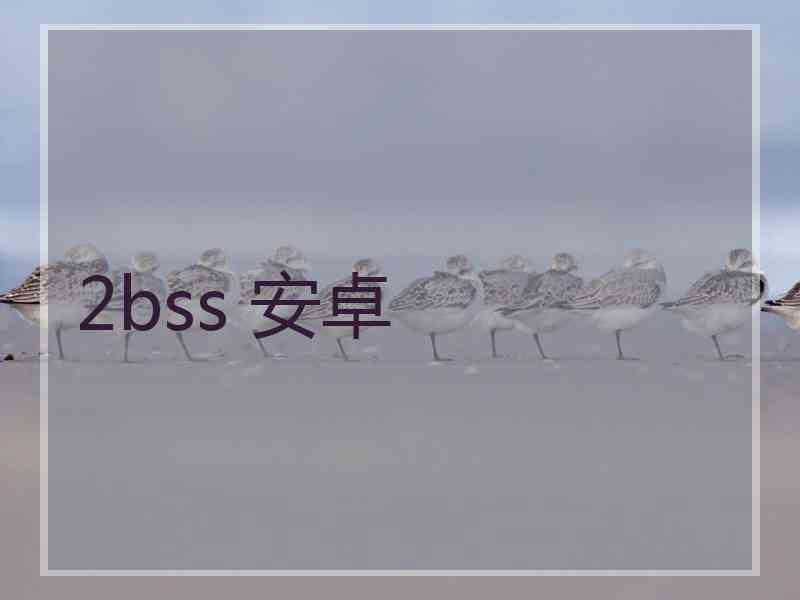 2bss 安卓