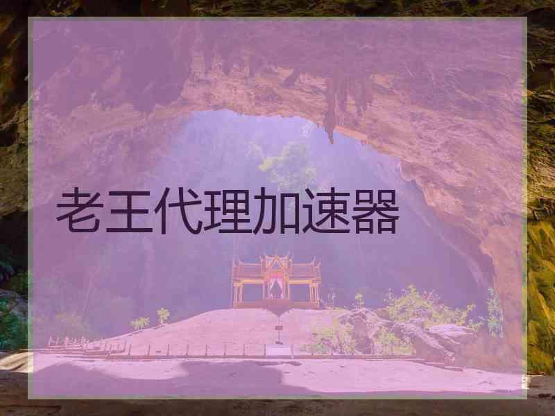 老王代理加速器