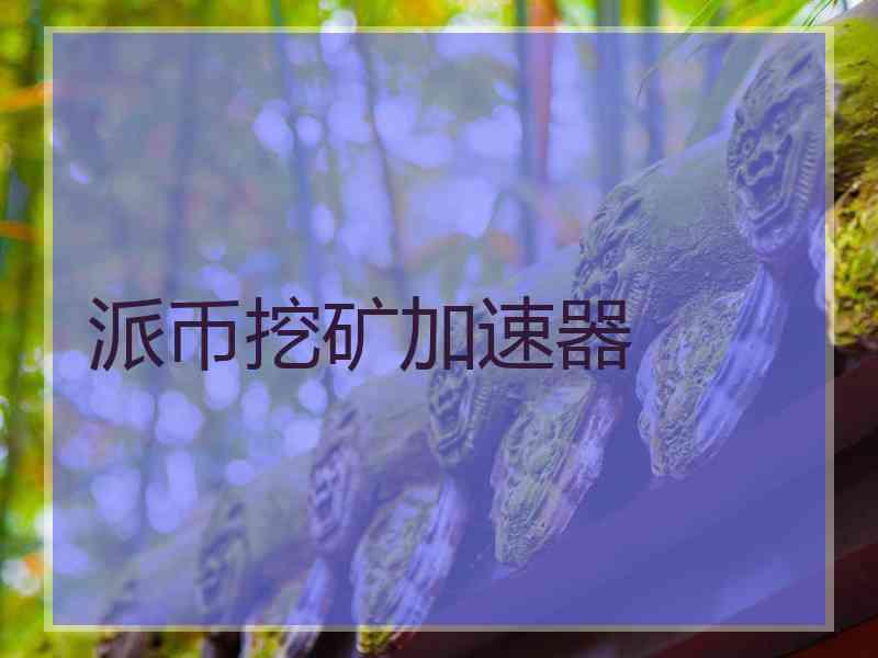 派币挖矿加速器