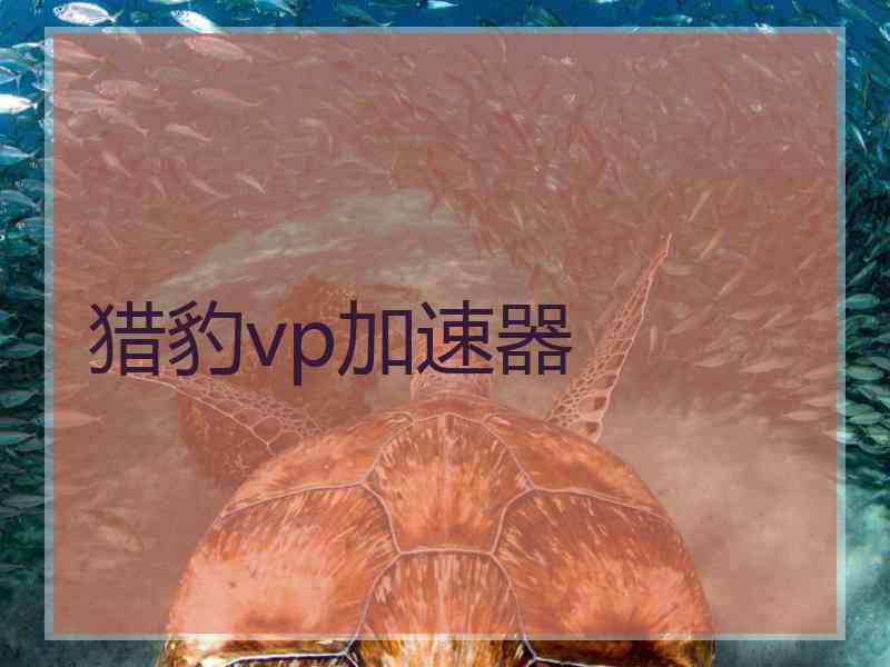 猎豹vp加速器