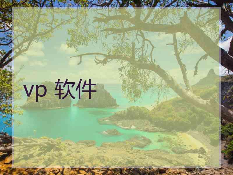 vp 软件