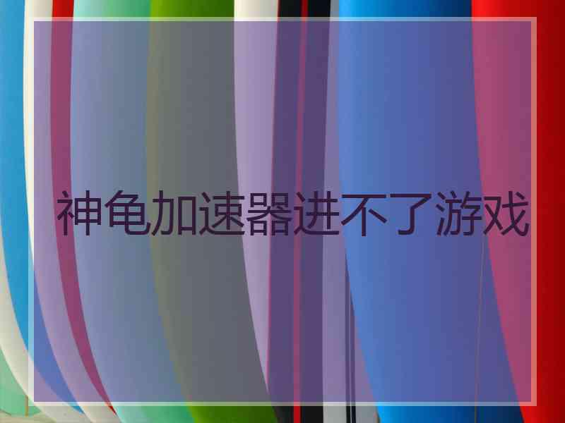 神龟加速器进不了游戏