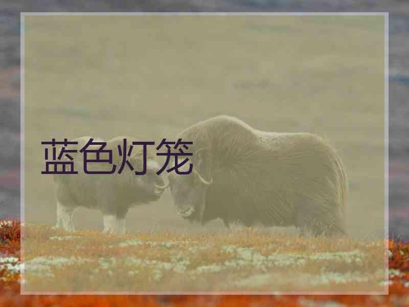 蓝色灯笼