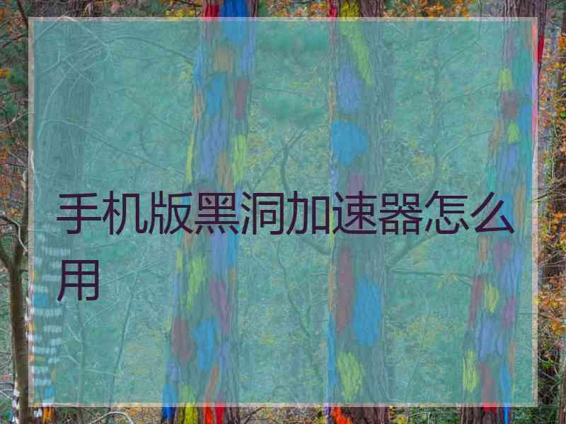 手机版黑洞加速器怎么用