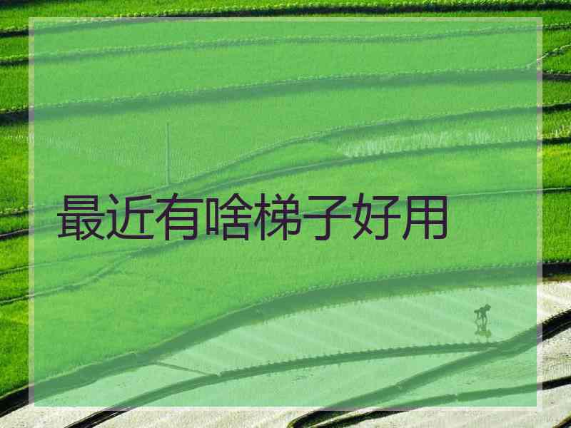 最近有啥梯子好用