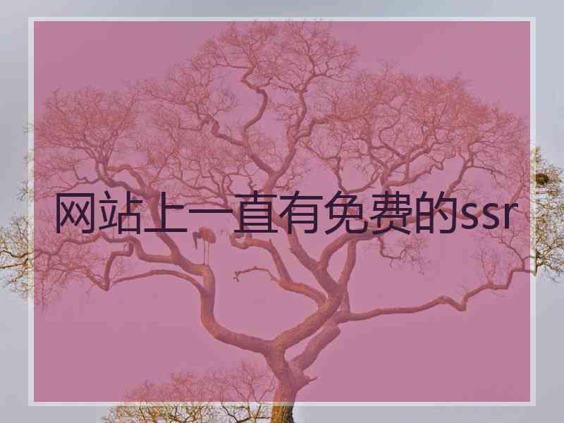 网站上一直有免费的ssr