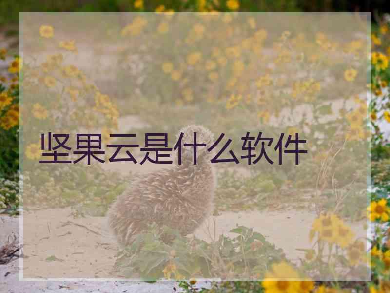 坚果云是什么软件