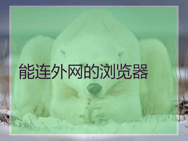 能连外网的浏览器