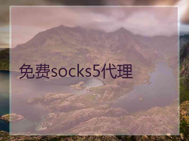 免费socks5代理
