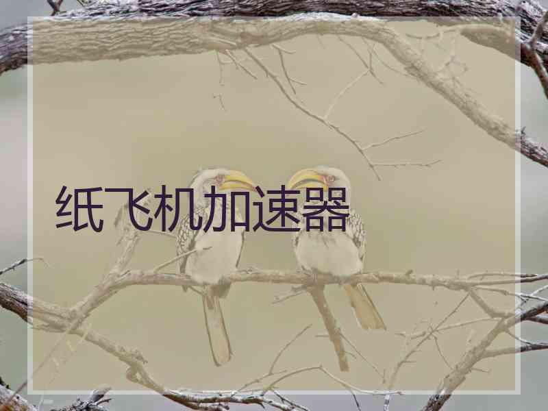 纸飞机加速器
