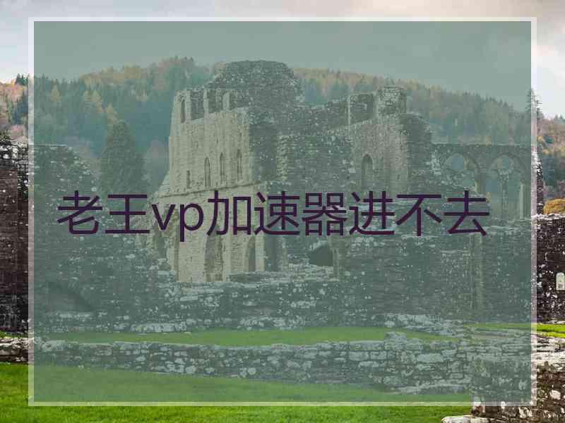 老王vp加速器进不去