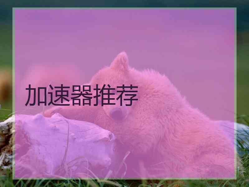 加速器推荐