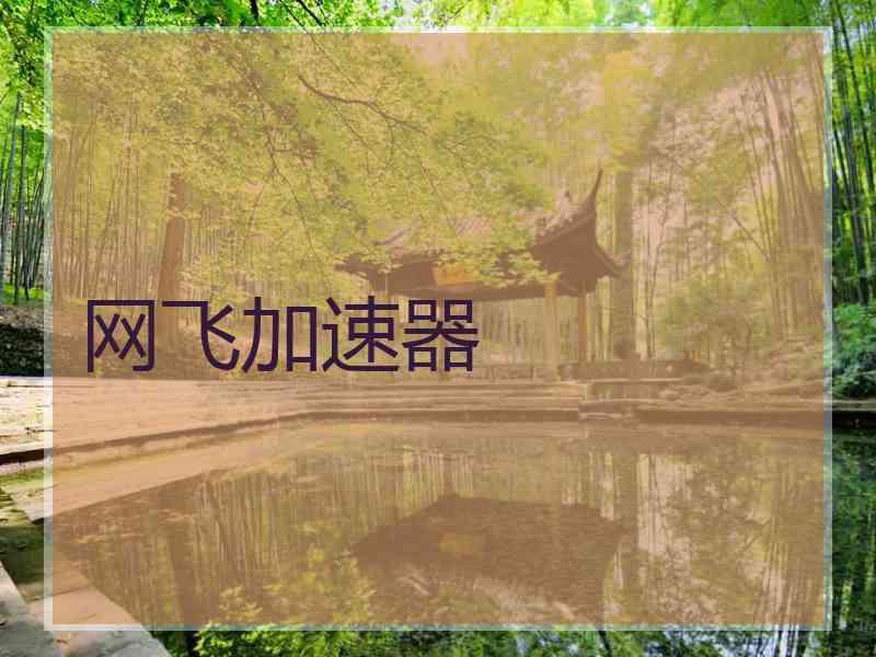 网飞加速器