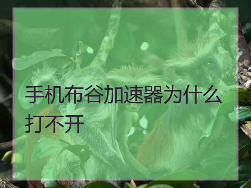 手机布谷加速器为什么打不开
