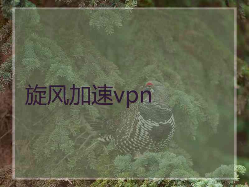旋风加速vpn