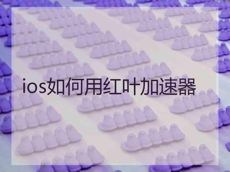 ios如何用红叶加速器