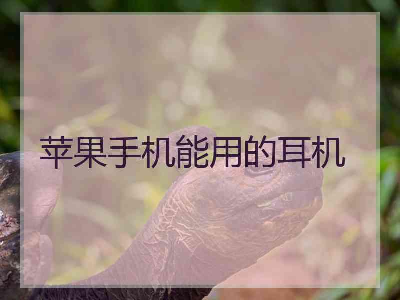 苹果手机能用的耳机