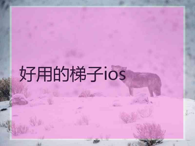 好用的梯子ios