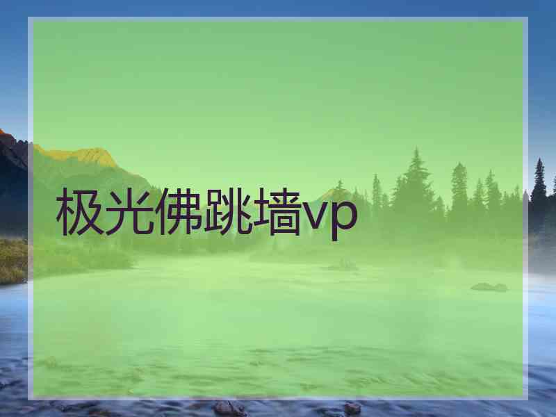 极光佛跳墙vp