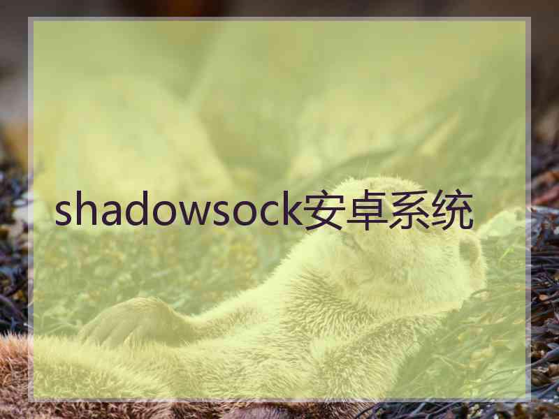 shadowsock安卓系统