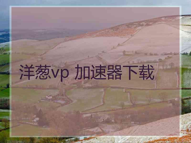 洋葱vp 加速器下载