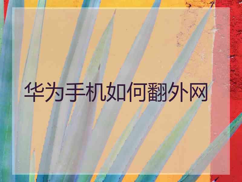 华为手机如何翻外网