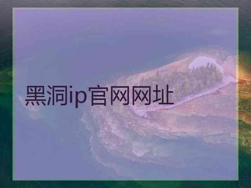黑洞ip官网网址