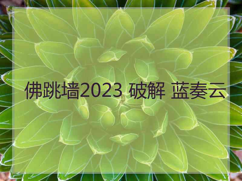 佛跳墙2023 破解 蓝奏云