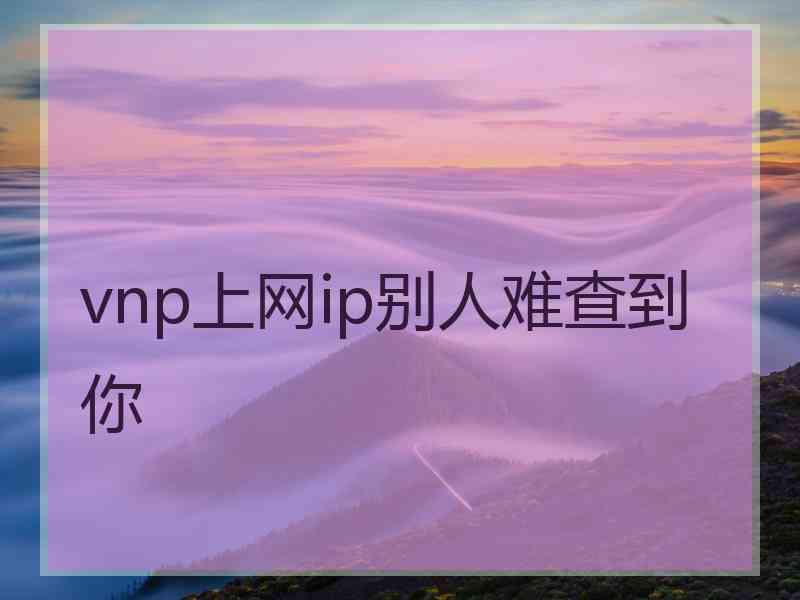 vnp上网ip别人难查到你