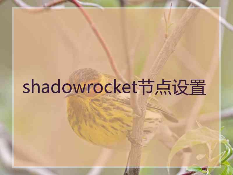 shadowrocket节点设置