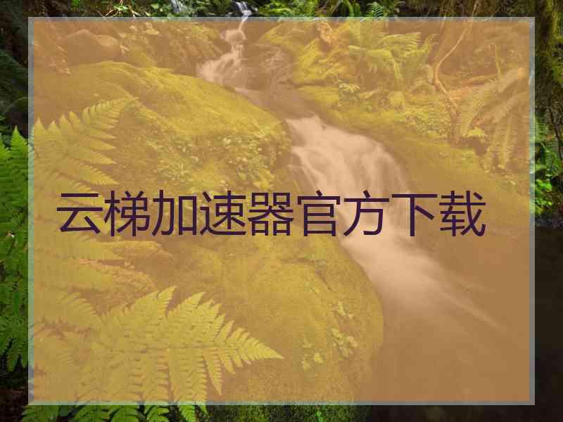 云梯加速器官方下载