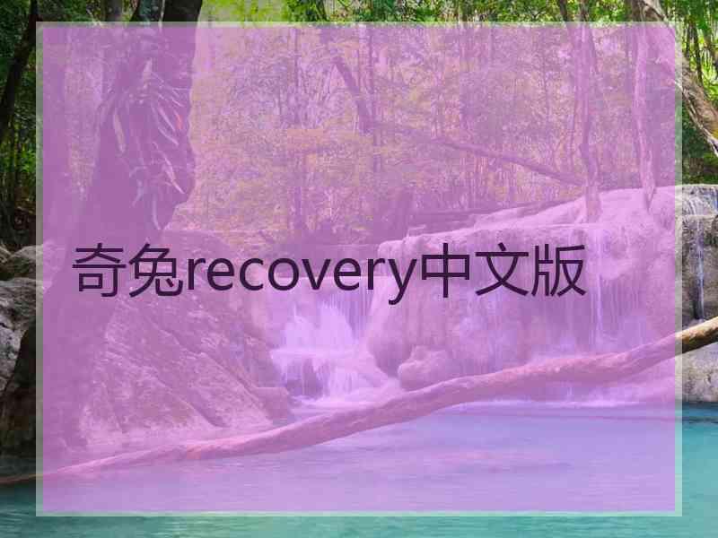 奇兔recovery中文版