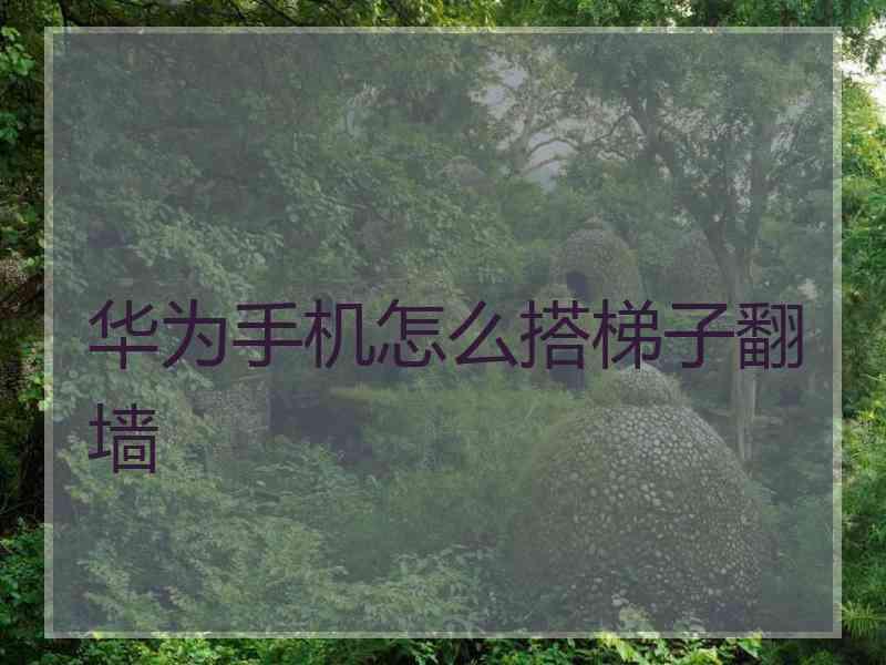 华为手机怎么搭梯子翻墙